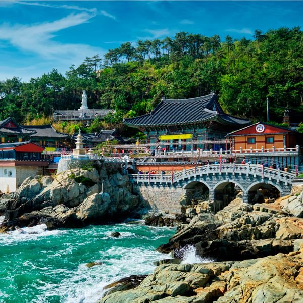 NOVAV-COREA-CAJAS-600x600-BUSAN