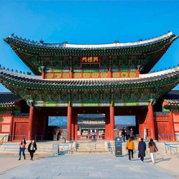 NOVAV-COREA-CAJAS-600x600-SEUL-1