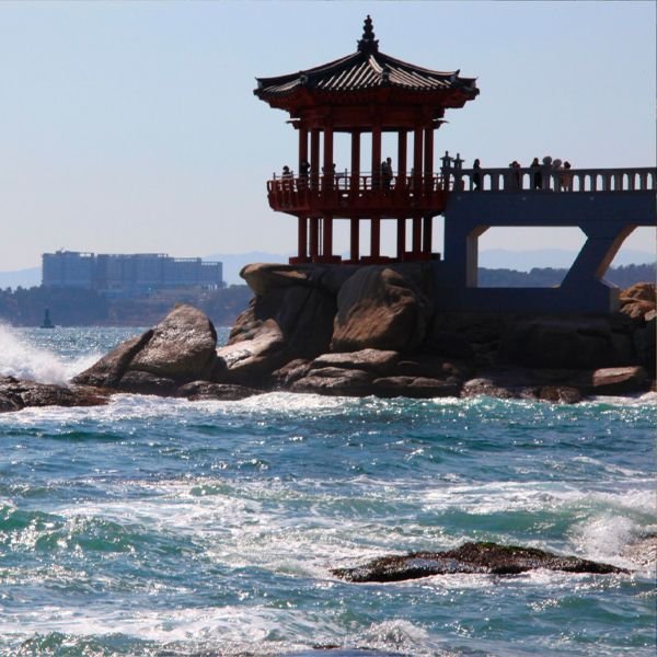 NOVAV-COREA-CAJAS-600x600-SOKCHO